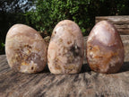 Polished Stunning Coral Flower Agate Standing Free Forms  x 12 From Madagascar - TopRock