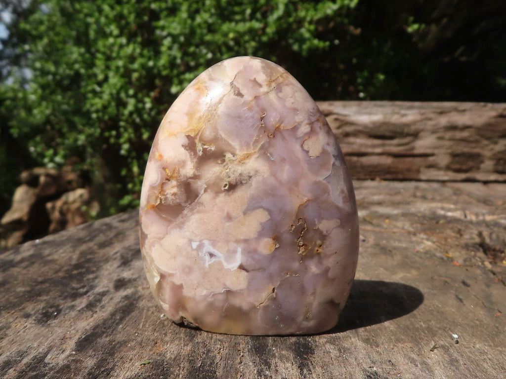 Polished Stunning Coral Flower Agate Standing Free Forms  x 12 From Madagascar - TopRock