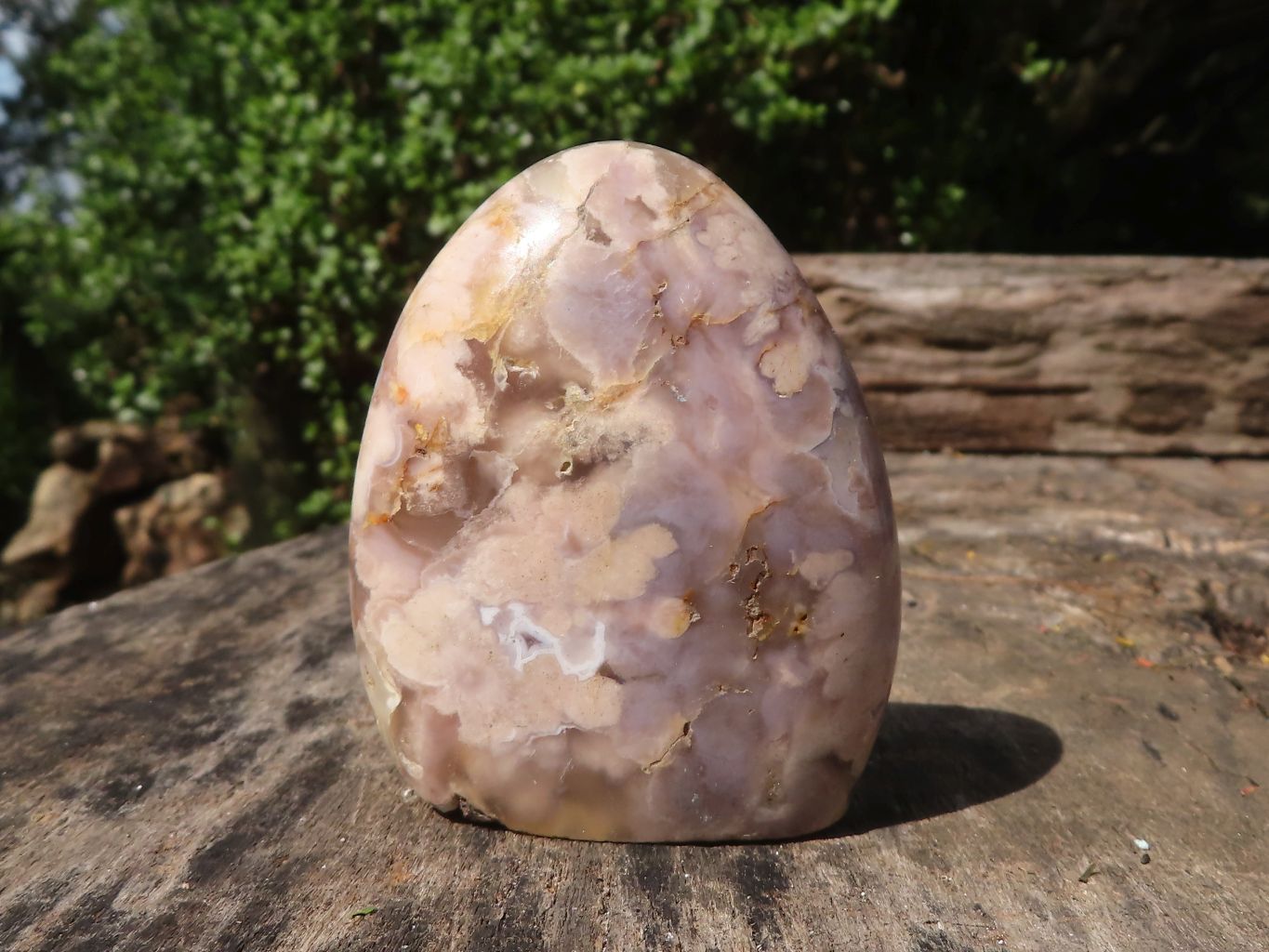 Polished Stunning Coral Flower Agate Standing Free Forms  x 12 From Madagascar - TopRock