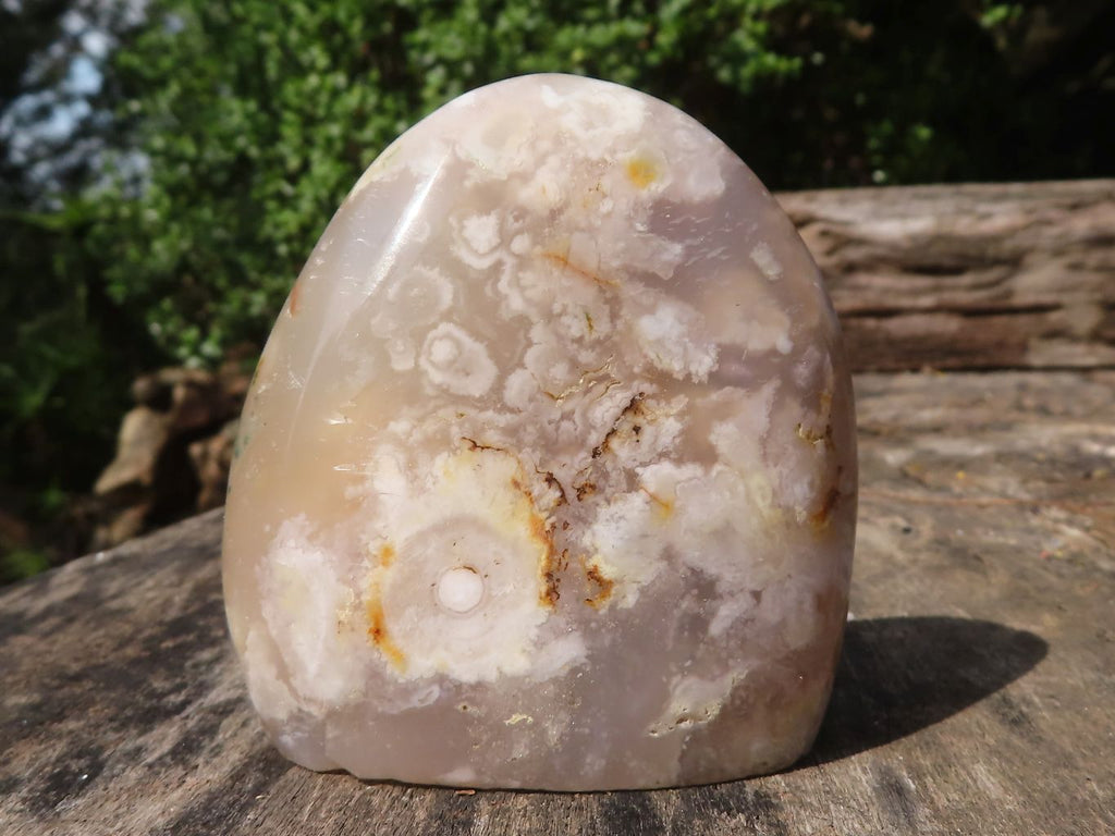 Polished Stunning Coral Flower Agate Standing Free Forms  x 12 From Madagascar - TopRock