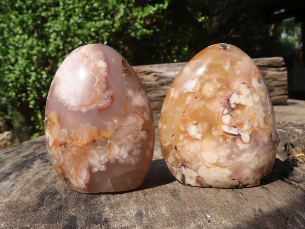 Polished Stunning Coral Flower Agate Standing Free Forms  x 12 From Madagascar - TopRock