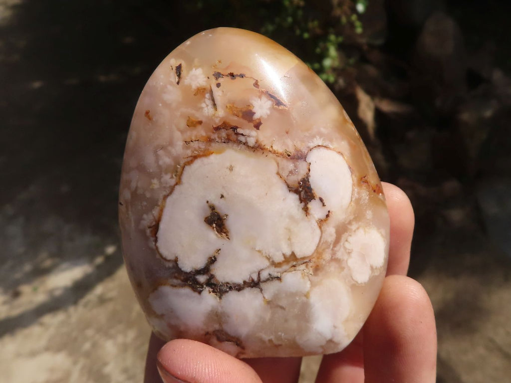 Polished Stunning Coral Flower Agate Standing Free Forms  x 12 From Madagascar - TopRock