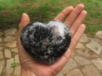 Polished Merlinite Gabbro Hearts x 3 From Madagascar - TopRock