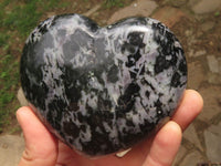 Polished Merlinite Gabbro Hearts x 3 From Madagascar - TopRock