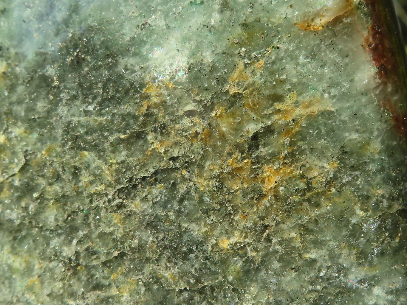 Polished Green Fuchsite Quartz Standing Free Form x 1 From Madagascar - Toprock Gemstones and Minerals 