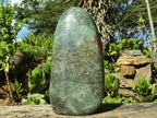 Polished Green Fuchsite Quartz Standing Free Form x 1 From Madagascar - Toprock Gemstones and Minerals 