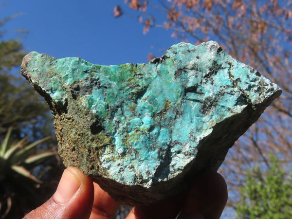 Natural Rough Chrysocolla Specimens  x 12 From Old Blue Mine, South Africa
