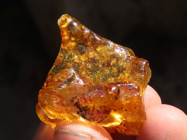 Natural Rare Copal Amber Specimens With Insects Embedded In Some  x 83 From Nosy Varika, Madagascar