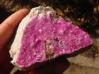 Natural Salrose Cobaltion Dolomite Specimens x 12 From Kakanda, Congo - Toprock Gemstones and Minerals 