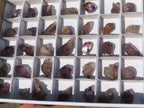 Natural Small Smokey Amethyst Crystals  x 35 From Chiredzi, Zimbabwe - Toprock Gemstones and Minerals 