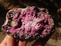 Natural Salrose Cobaltion Dolomite Specimens x 12 From Kakanda, Congo - Toprock Gemstones and Minerals 