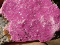 Natural Salrose Cobaltion Dolomite Specimens x 12 From Kakanda, Congo - Toprock Gemstones and Minerals 