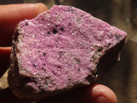 Natural Salrose Cobaltion Dolomite Specimens x 12 From Kakanda, Congo - Toprock Gemstones and Minerals 