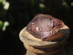 Natural Small Smokey Amethyst Crystals  x 35 From Chiredzi, Zimbabwe - Toprock Gemstones and Minerals 