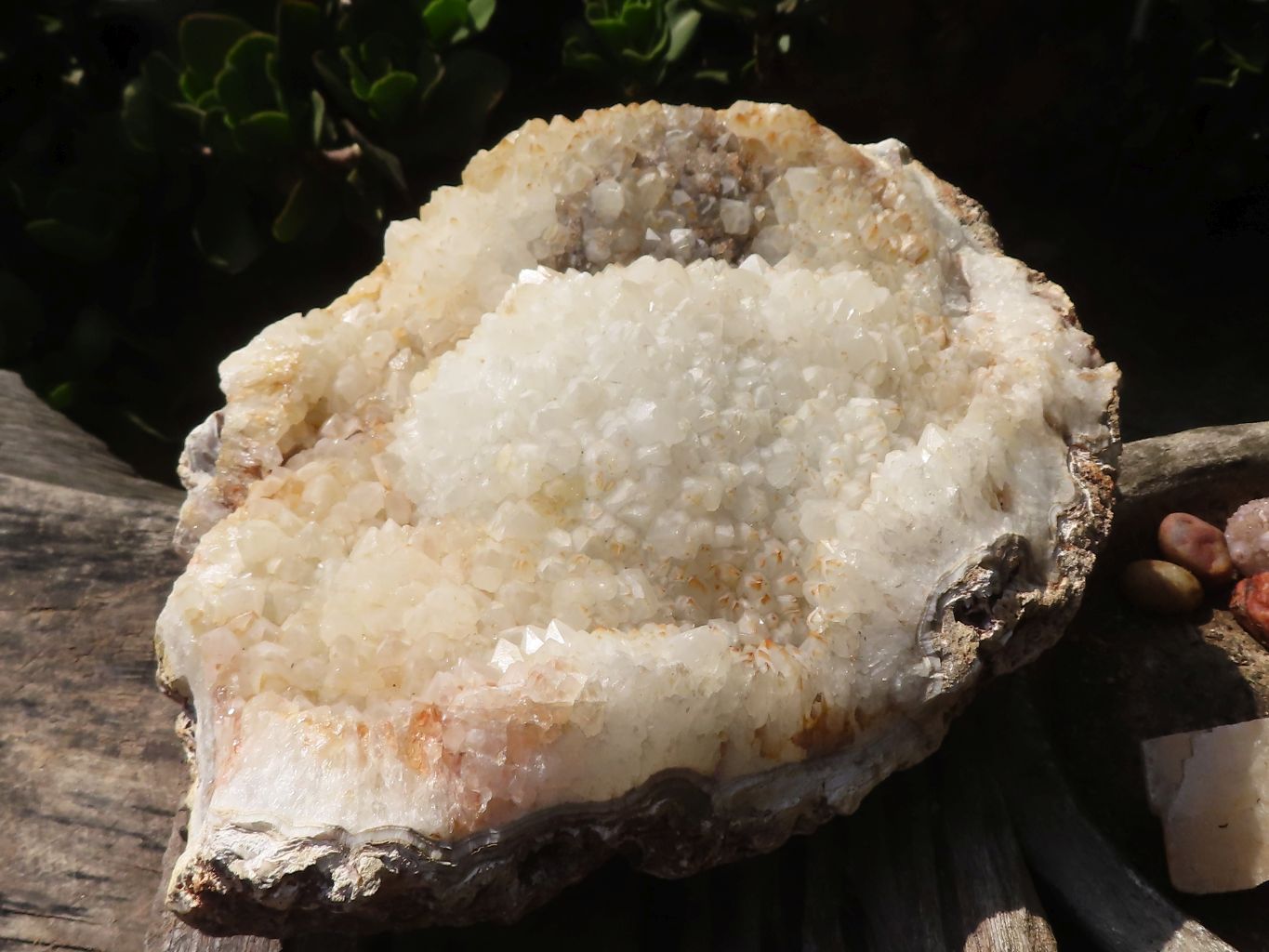 Natural Extra Large Agate Plate  x 1 From Zululand, South Africa - TopRock