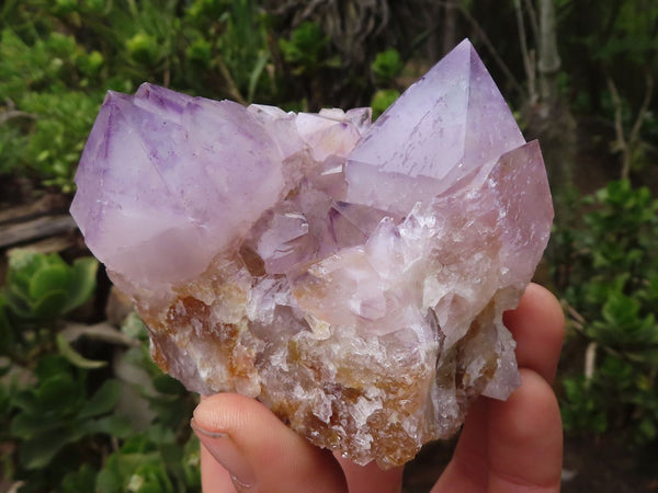 Natural Gorgeous Spirit Amethyst Quartz Clusters  x 6 From Boekenhouthoek, South Africa - Toprock Gemstones and Minerals 