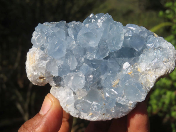 Natural Blue Celestite Crystal Specimens  x 3 From Sakoany, Madagascar - Toprock Gemstones and Minerals 