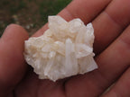 Natural Mini to Small Mixed Quartz Crystals & Clusters  x 63 From Madagascar - TopRock