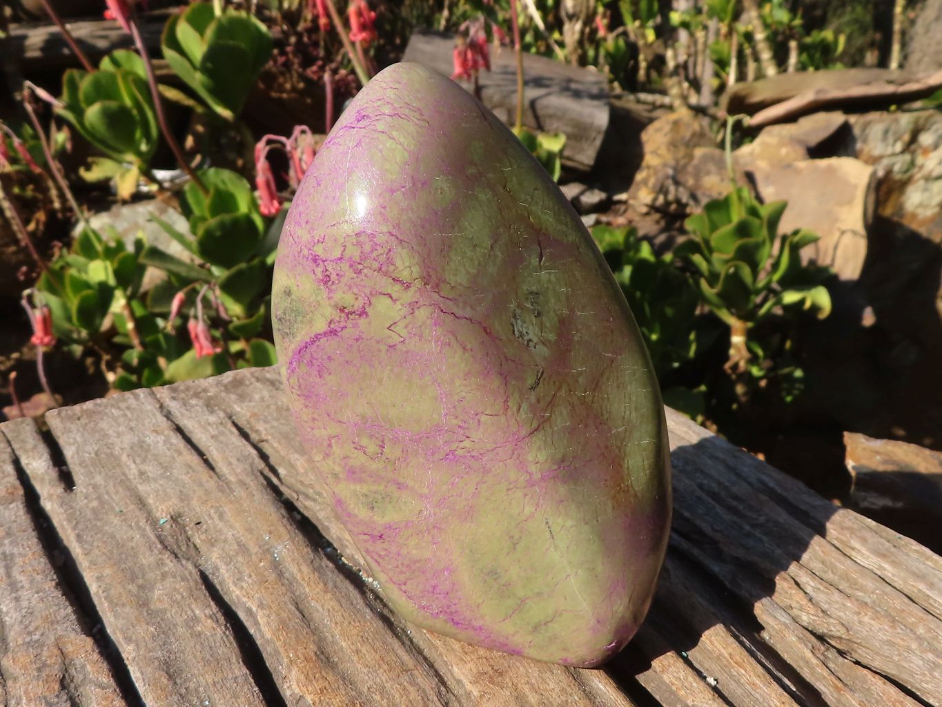 Polished  Purple Stichtite & Serpentine Standing Free Forms x 2 From Barberton, South Africa - Toprock Gemstones and Minerals 