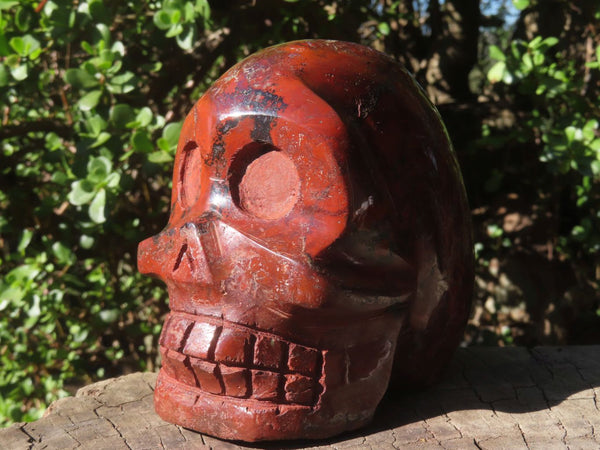 Polished Large Red Ocean Jasper Skull Carving  x 1 From Madagascar