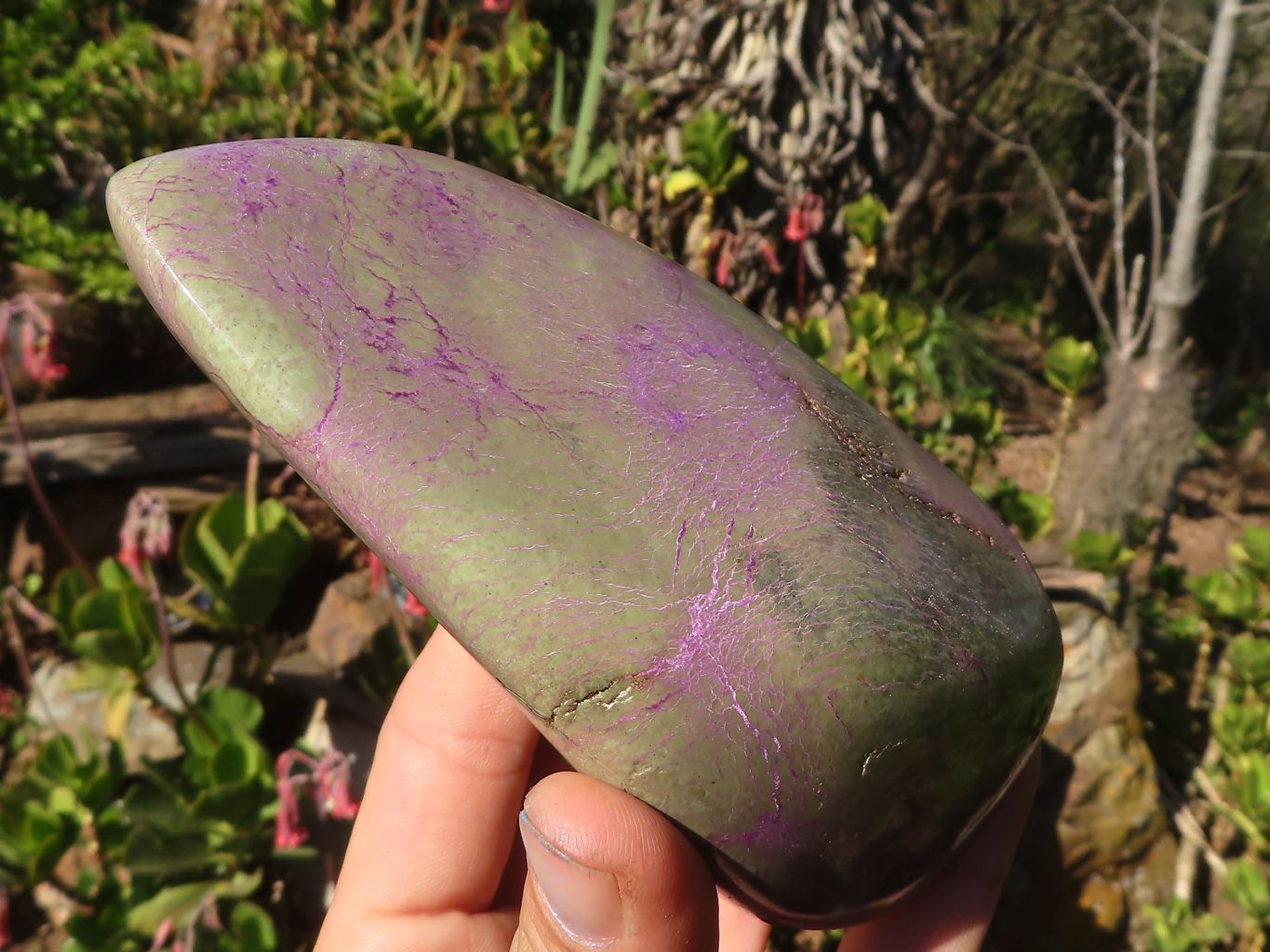 Polished  Purple Stichtite & Serpentine Standing Free Forms x 2 From Barberton, South Africa - Toprock Gemstones and Minerals 