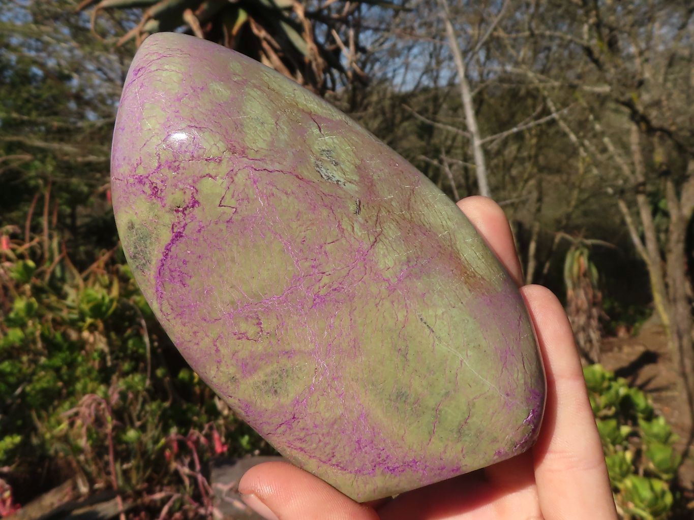 Polished  Purple Stichtite & Serpentine Standing Free Forms x 2 From Barberton, South Africa - Toprock Gemstones and Minerals 