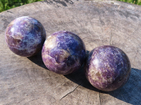 Polished Lepidolite Spheres x 6 From Zimbabwe - TopRock