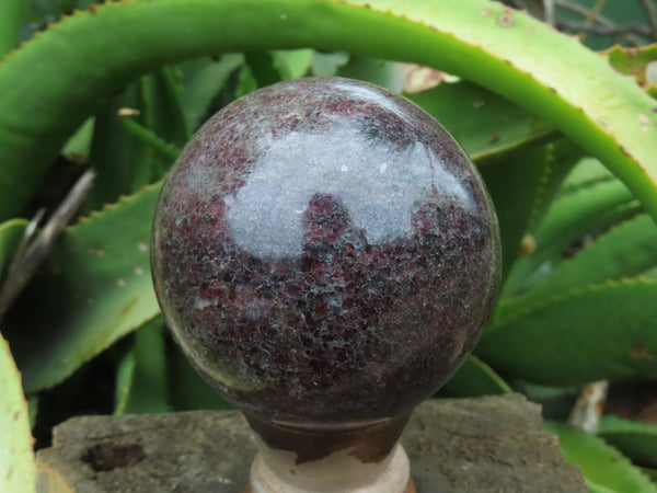 Polished Garnet Spheres x 4 From Madagascar - TopRock