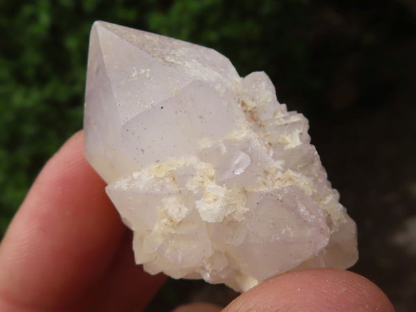 Natural Mixed Spirit Cactus Quartz Crystals  x 35 From Boekenhouthoek, South Africa - Toprock Gemstones and Minerals 