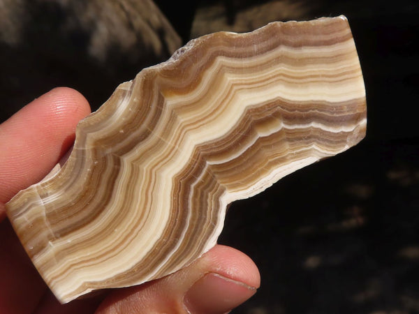 Polished Caramel Desert Agate Free Forms  x 12 From Namibia - Toprock Gemstones and Minerals 