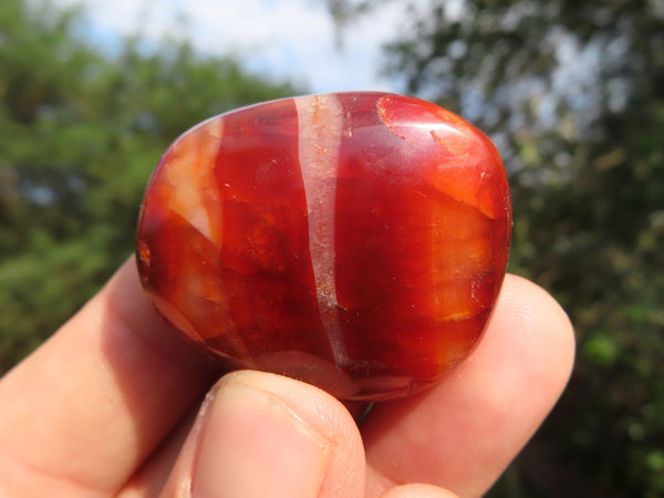 Polished Selection Of Carnelian Palm Stones & One Flame x 20 From Madagascar - TopRock