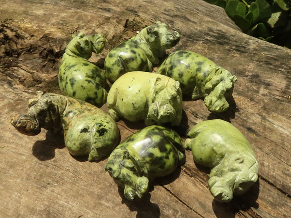 Polished  Hand Made Leopard Stone Hippos - Medium - Sold per piece - From Zimbabwe - TopRock