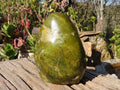 Polished  Green Opal Standing Free Form  x 1 From Antsirabe, Madagascar - Toprock Gemstones and Minerals 