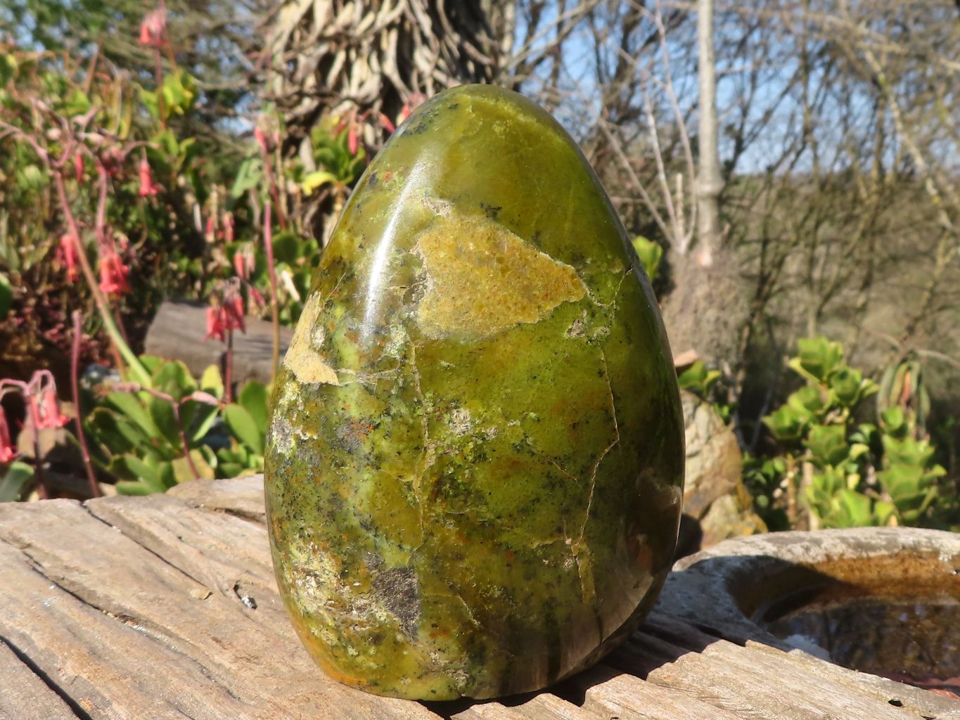 Polished  Green Opal Standing Free Form  x 1 From Antsirabe, Madagascar - Toprock Gemstones and Minerals 