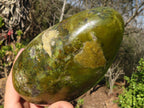 Polished  Green Opal Standing Free Form  x 1 From Antsirabe, Madagascar - Toprock Gemstones and Minerals 