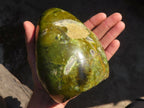 Polished  Green Opal Standing Free Form  x 1 From Antsirabe, Madagascar - Toprock Gemstones and Minerals 