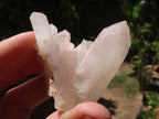 Natural Mixed Mini Quartz Clusters  x 35 From Madagascar - TopRock