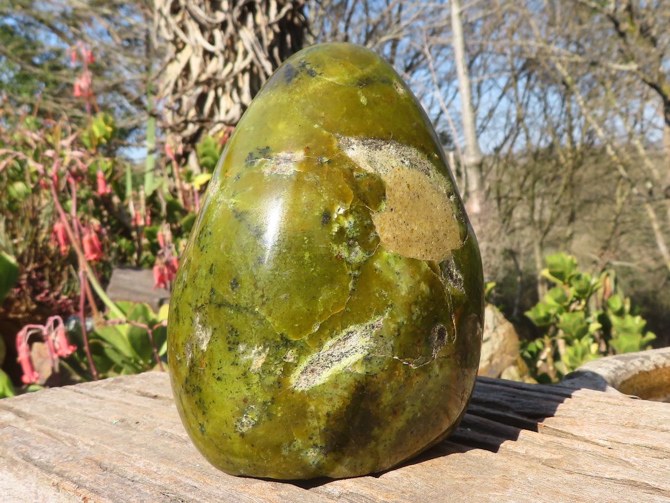 Polished  Green Opal Standing Free Form  x 1 From Antsirabe, Madagascar - Toprock Gemstones and Minerals 