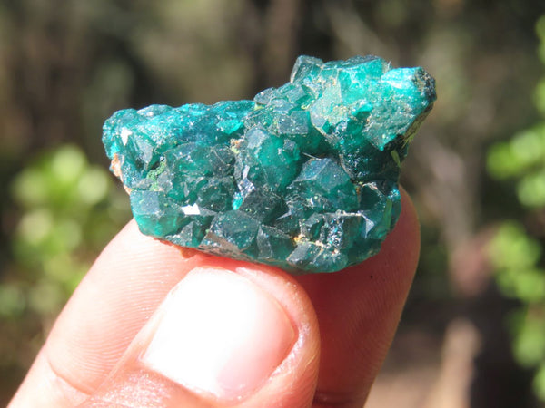 Natural Emerald Dioptase Crystal Specimens  x 12 From Likasi, Congo