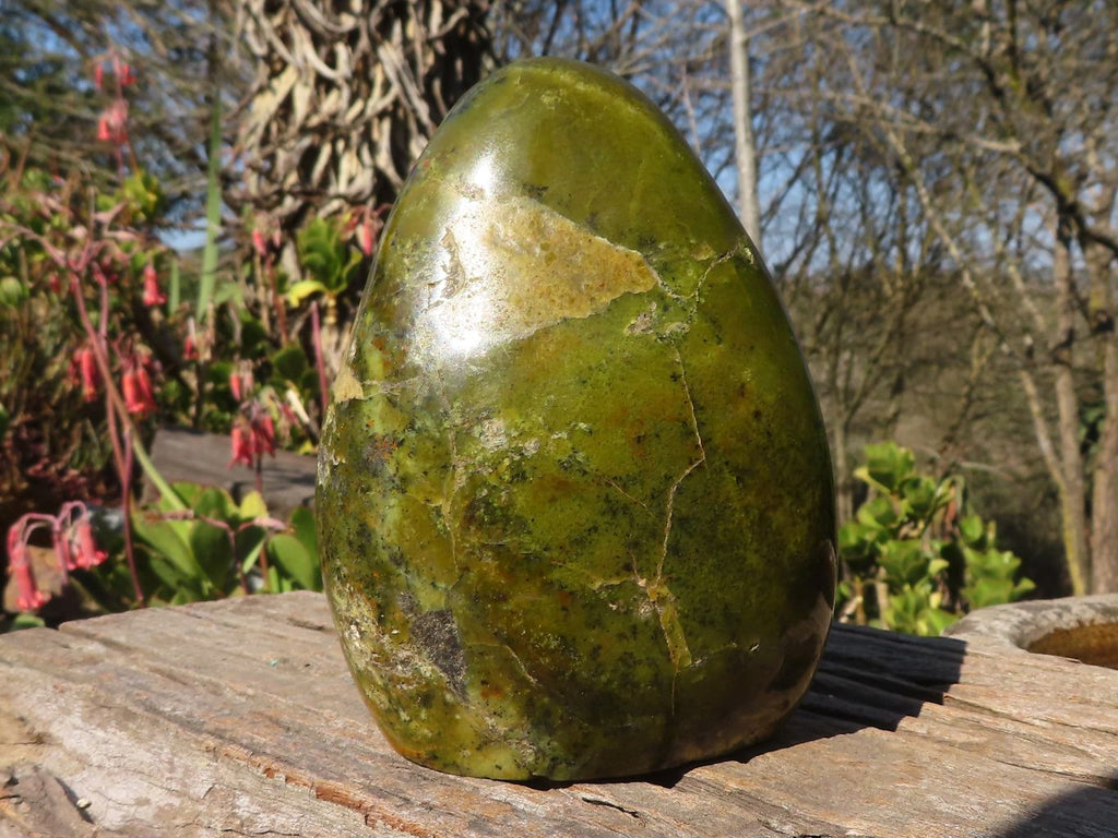 Polished  Green Opal Standing Free Form  x 1 From Antsirabe, Madagascar - Toprock Gemstones and Minerals 