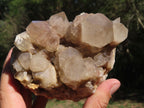 Natural Smokey Cascading Phantom Quartz Clusters x 2 From Luena, Congo - TopRock