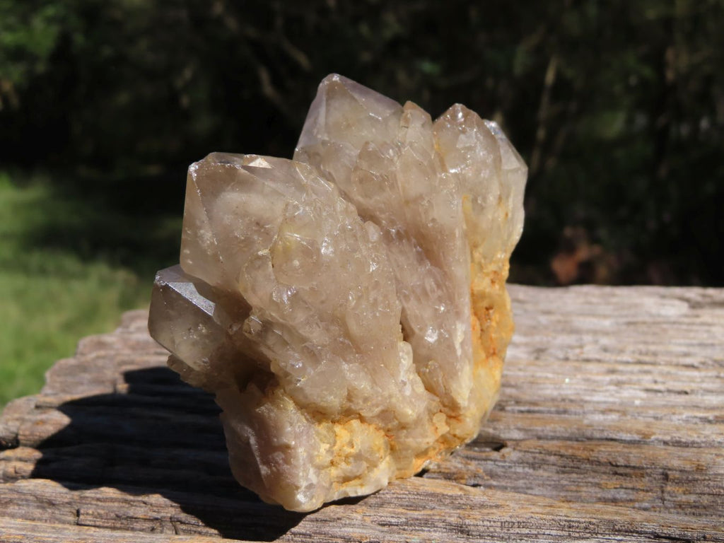 Natural Smokey Cascading Phantom Quartz Clusters x 2 From Luena, Congo - TopRock