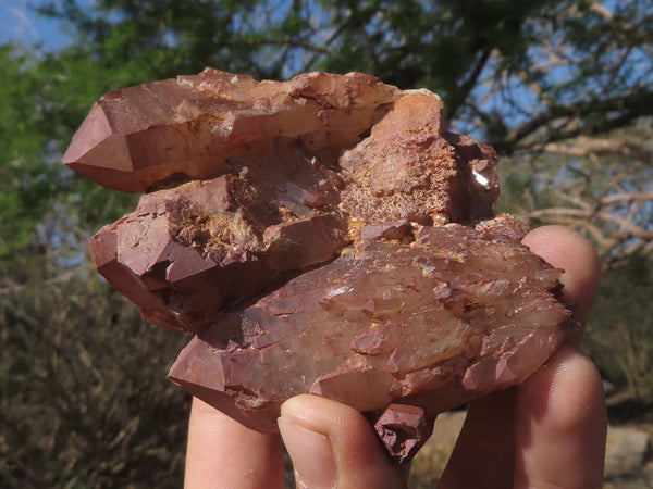 Natural Gorgeous Selected Red Hematoid Phantom Quartz Crystals & Clusters  x 6 From Karoi, Zimbabwe - TopRock