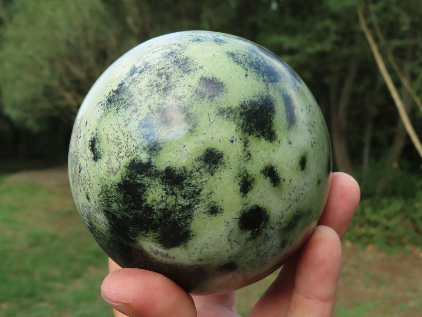 Polished Leopard Stone (Spotted Serpentine) Spheres x 2 From Zimbabwe - TopRock