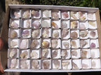 Natural Mixed Spirit Quartz Crystals  x 63 From Boekenhouthoek, South Africa - TopRock