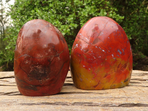 Polished Red Jasper Standing Free Forms  x 2 From Madagascar
