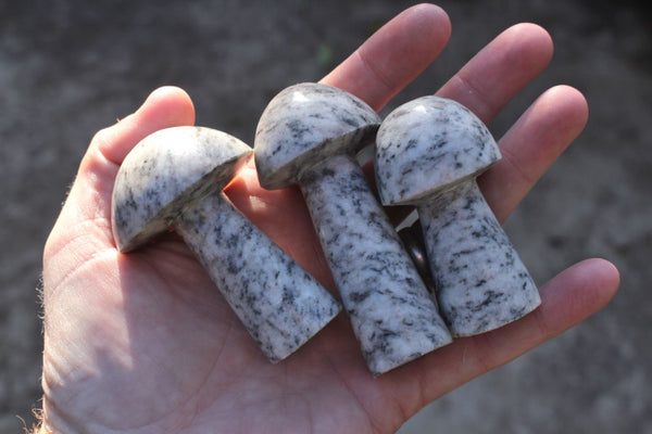 Polished Black & White Granite Mushrooms  x 6 From Madagascar - TopRock