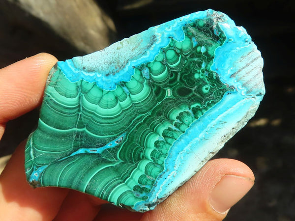Polished Stunning Malacholla (Malachite & Chrysocolla) Slices  x 12 From Congo - Toprock Gemstones and Minerals 