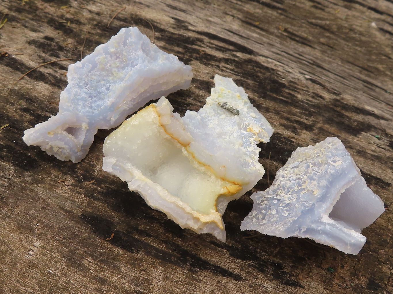 Natural Etched Blue Chalcedony Specimens  x 24 From Malawi - Toprock Gemstones and Minerals 