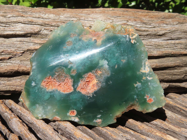 Polished  One Side Mtorolite Slices x 6 From Mutorashanga, Zimbabwe - TopRock